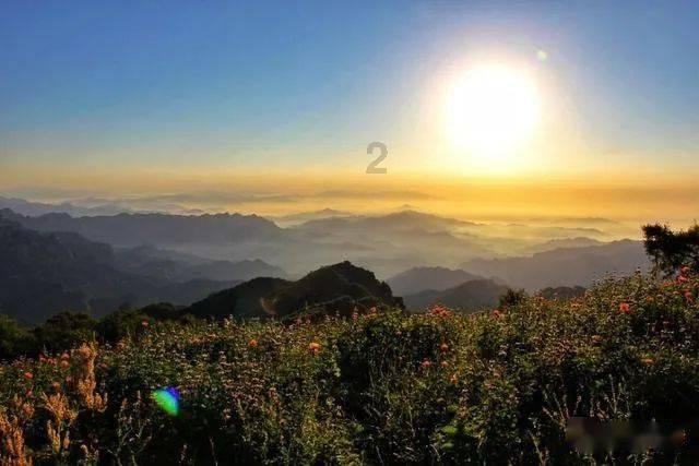 减肥期间该摄入什么类型的油脂？游戏画面